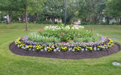 Friends of Fisher Park Annual Meeting