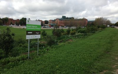 Growing the Orchard -SSOCC Thanks Tree Canada and The Brick