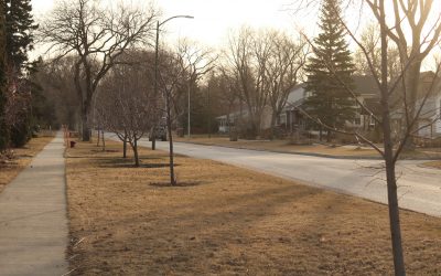 ACU grant supports tree planting in Riverview