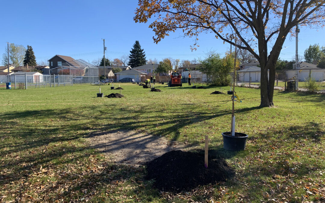 Trees Riverview Welcomes 44 New Trees