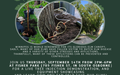 Elm Innoculation Workshop (free) in Fisher Park