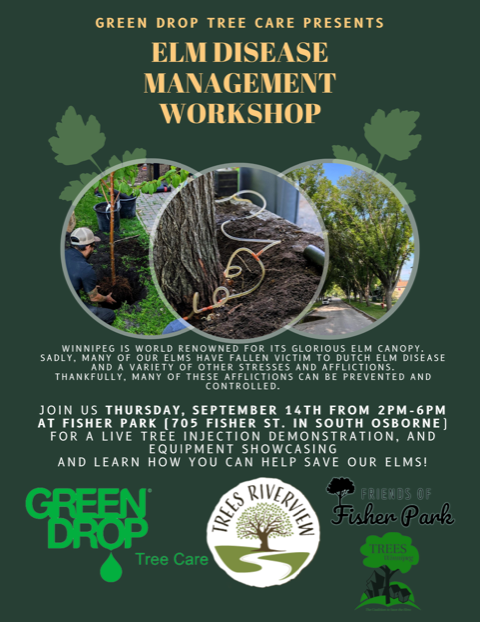 Elm Innoculation Workshop (free) in Fisher Park