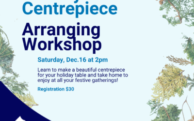 Holiday Centrepiece Arranging Workshop