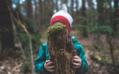 Forest Nursery Info Night: Monday, Jan. 29 – Save the Date!